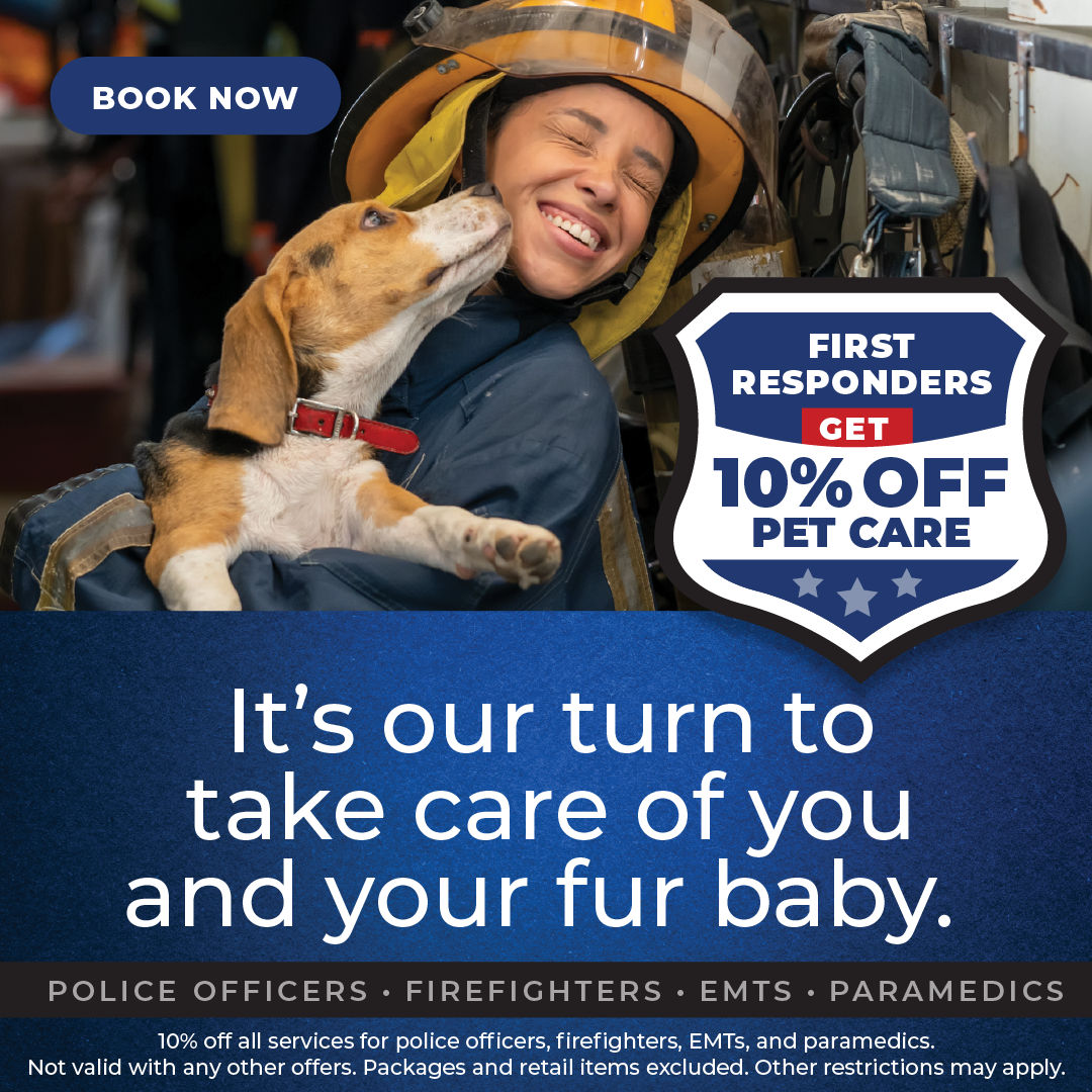 Promotions Pet Nation Lodge based in Loveland, OH